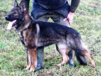 /album/fotogaleria-pripravujeme-mladych/beky-re-star-jpg1/